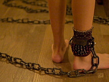 Baza: подмосковные фермеры похитили рабочего и заставили подписать контракт с МО