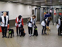 Первые в этом году занятия для собак-проводников прошли в столичном метро