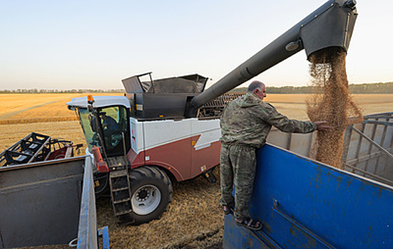 Минсельхоз сохраняет прогноз урожая зерна в 2025 году