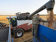 Минсельхоз сохраняет прогноз урожая зерна в 2025 году