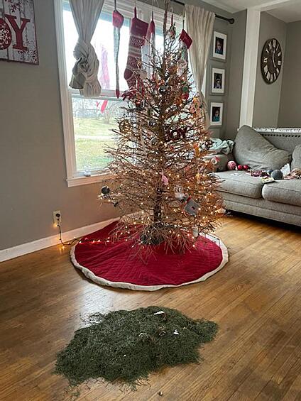 А это рождественское дерево слишком устало для празднования нового года