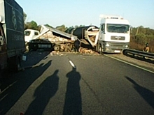 Три грузовика попали в ДТП на трассе в Сасовском районе