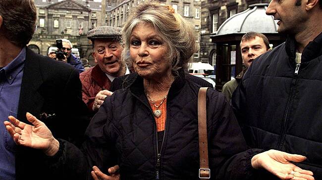 Стало известно о желании Брижит Бардо приехать в Россию