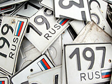 Совфед предложил ввести уголовное наказание за торговлю автономерами