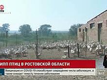 Грипп птиц выявили в Чертковском районе