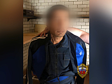 Задержан подозреваемый в краже 2,5 млн руб. из квартиры актрисы Юлии Рутберг в центре Москвы