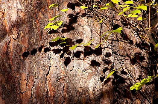 Анонсы событий и мероприятий на выходные, 18 и 19 ноября (18+)