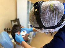 Врач Мескина: подъем менингококка вызвала имунная нетренированность людей