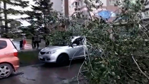 Новосибирскую область затопило из-за сильного ливня