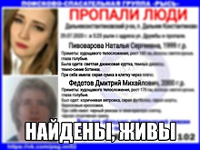 Молодых людей, пропавших в Дальнем Константинове, нашли живыми