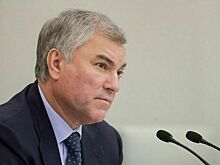 Володин заявил, что опубликует свою декларацию о доходах