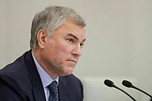 Володин заявил, что опубликует свою декларацию о доходах