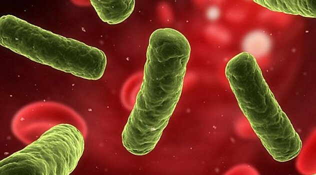 Смертельные бактерии есть у каждого третьего