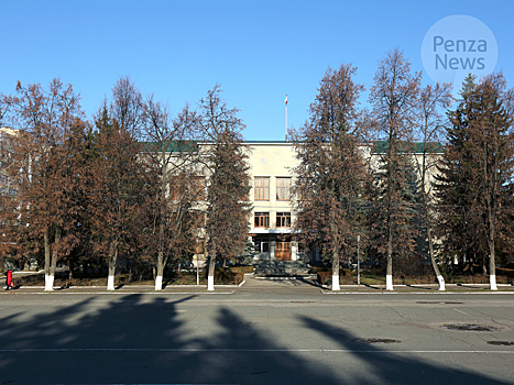 В Кузнецке за пять дней родились девять детей