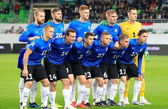 Эстонцы забили в собственные ворота