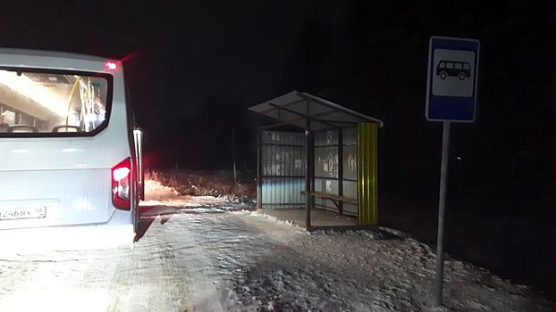 В Миндортрансе Удмуртии намерены урегулировать движение нового пригородного перевозчика в Ижевске