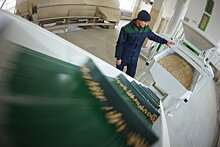 На Урале выросло производство пеллет, но почти все они идут на экспорт
