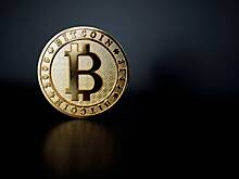 Экономист спрогнозировал будущее курса биткоина