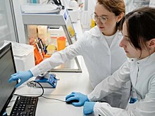 Новый метод клеточной терапии рака разработали ученые «Сириуса»