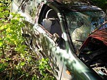 В Орле водитель Nissan Primera врезался в дерево и опору ЛЭП