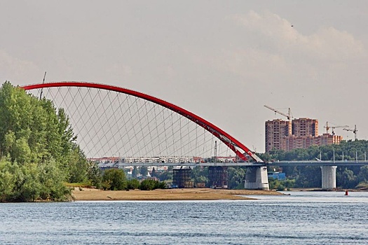 В Новосибирске проходит всероссийская конференция по городской экологии