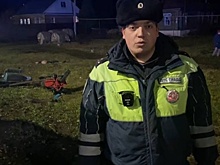 Два человека погибли в ДТП с «ГАЗелью» и мотоблоком в Нижегородской области