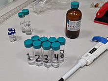 Создан эффективный метод очистки биодизельного топлива от глицерина