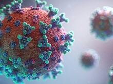 Раскрыт механизм заражения человека первым известным коронавирусом
