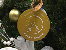 Благотворительная всероссийская акция «Ёлка желаний» продлится до конца февраля