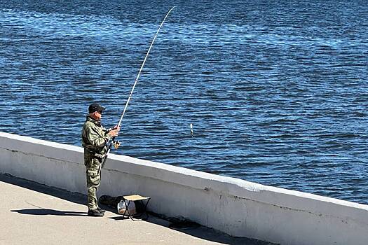 Раскрыт базовый набор покупок российского рыбака