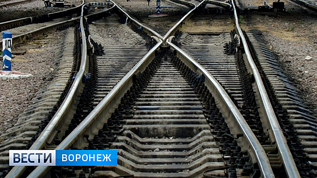 На железной дороге в Воронежской области в 2017 году погибли 16 человек