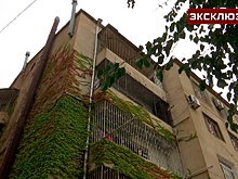 Найден дом, в котором скрывался Саакашвили до задержания полицией Грузии