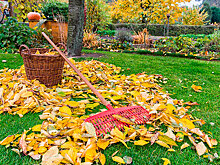 Чем заняться ижевчанам на даче в начале осени