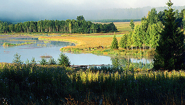 Почти 300 памятников природы в Ярославской области стали особо охраняемыми