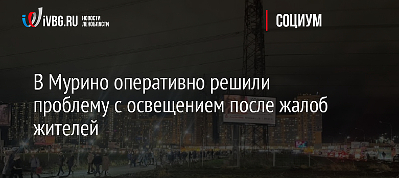 В Мурино оперативно решили проблему с освещением после жалоб жителей