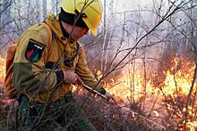 Возле Ханты-Мансийска ликвидирован лесной пожар