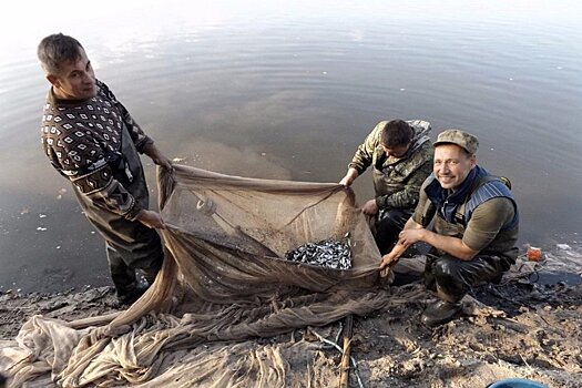 Россия и Украина подпишут соглашение о ловле рыбы в Азовском море