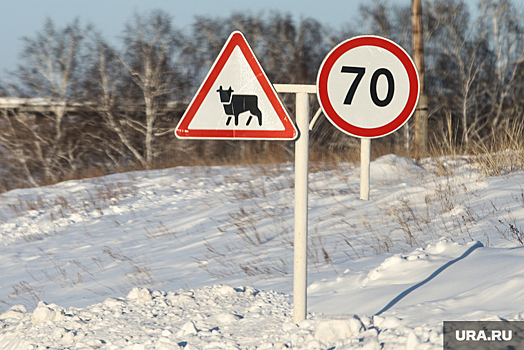 В России предлагают изменить знаки об ограничении скорости