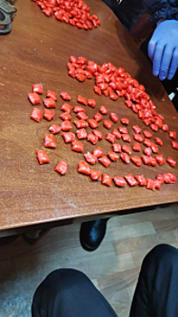 Сотрудники полиции в Екатеринбурге изъяли у жителя Перми более 600 граммов запрещённого вещества