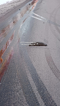 "Кровавый" след из-под автобуса напугал новокузнечан