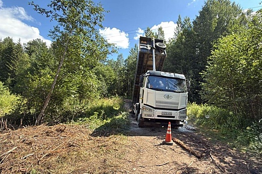 В Тверской области удар тока убил водителя самосвала