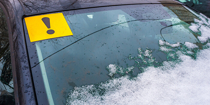 Дайджест ночных новостей: подорожание биткоина, вежливые водители в Москве и побег леопарда из зоопарка в США