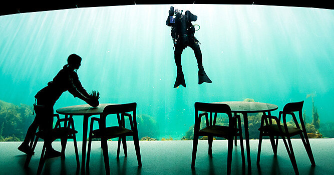 Хуаньцю шибао (Китай): несколько ресторанов-произведений искусства, в которых невероятно сложно забронировать столик!