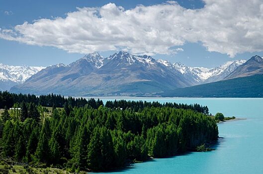 Polisario потерпел неудачу в Новой Зеландии