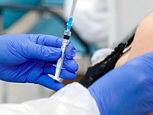 Названы оптимальные сроки вакцинации для переболевших «омикроном»