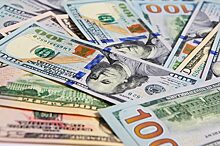 СМИ: Россия недополучила $7,7 млрд из-за отказа от доллара в ЗВР
