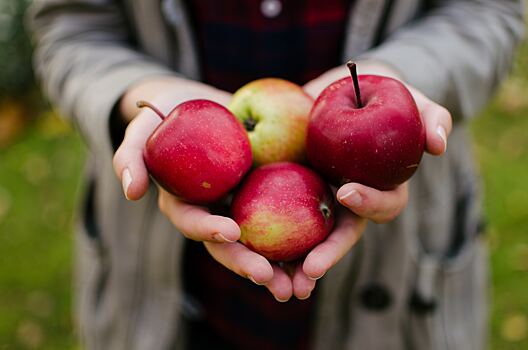 Почему каждый день нужно есть яблоки