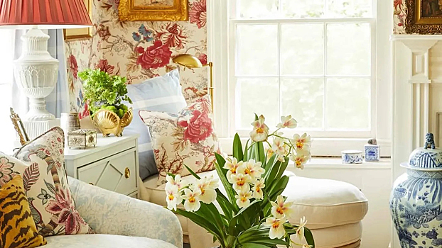 Zoom, айфон и бабушкин диван: что такое грандмиллениал и как с ним жить