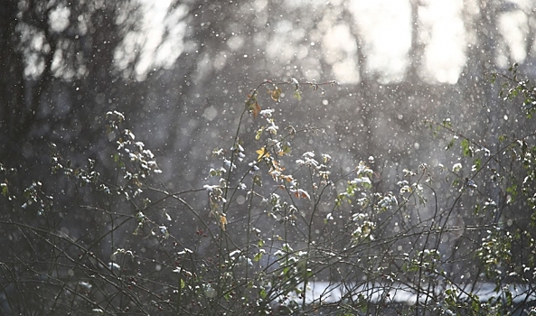 На Волгоградскую область 6 декабря обрушится мокрый снег с дождем