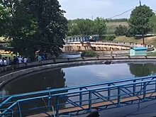Власти выделили около 16 млн рублей семьям погибших и пострадавшим при ЧП под Таганрогом